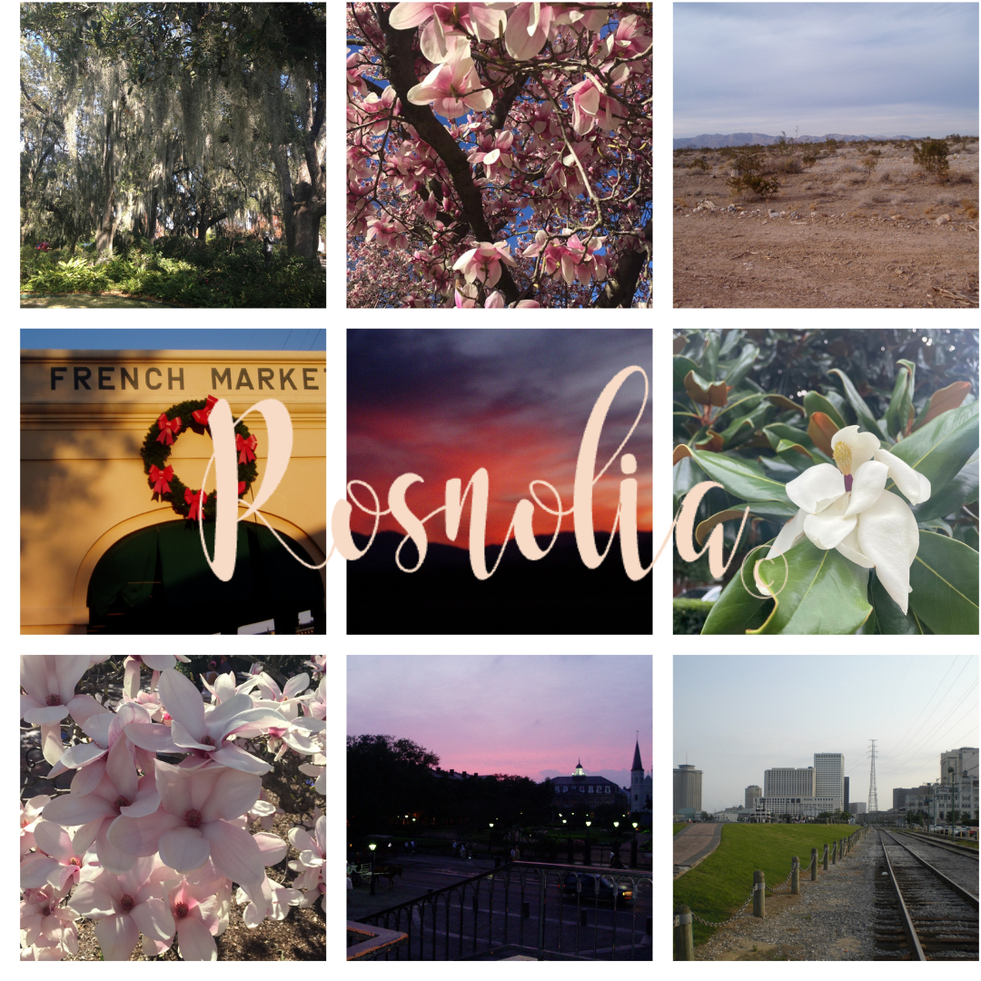 Rosnolia Blog